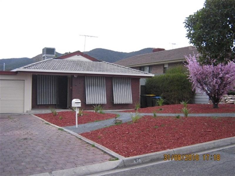 17B Ridgefield Avenue, Paradise SA 5075