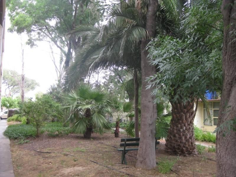 21/26 South Terrace, Adelaide SA 5000