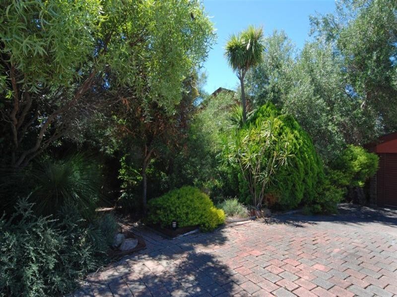 3 Constantine Court, Rostrevor SA 5073