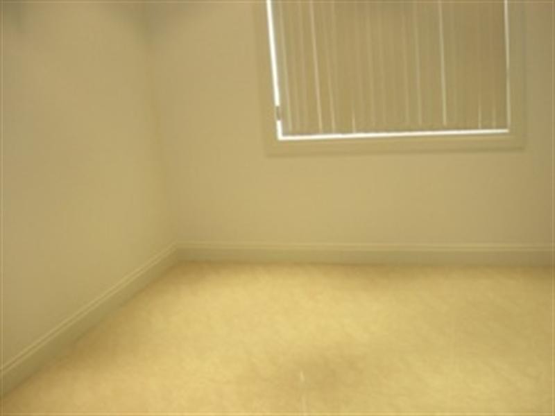 13b Griffiths Street, Magill SA 5072