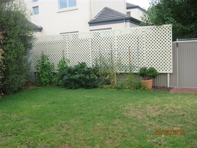 3 Arnold Street, Parkside SA 5063