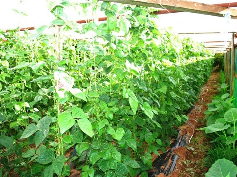 Lot 4 Womma Road, Penfield SA 5121