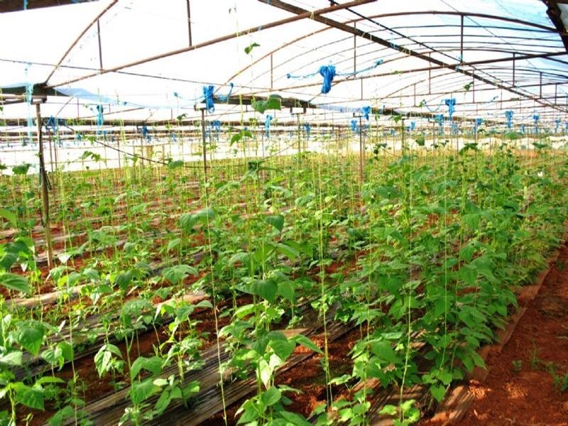 Lot 4 Womma Road, Penfield SA 5121