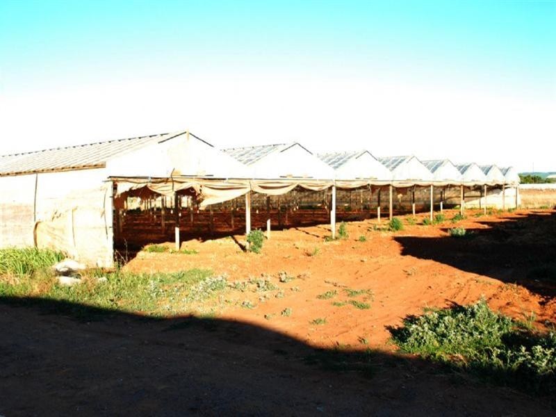 Lot 4 Womma Road, Penfield SA 5121