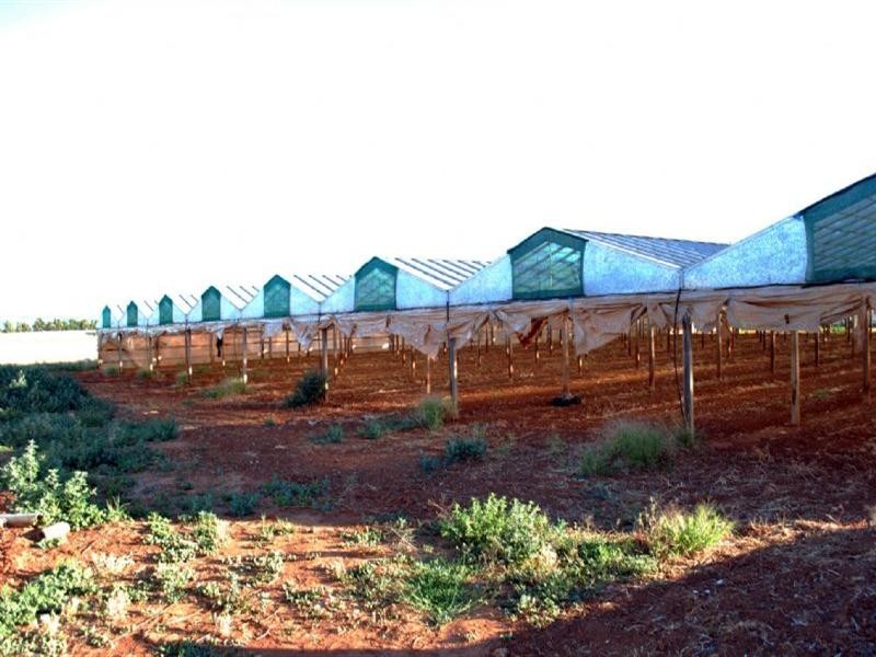 Lot 4 Womma Road, Penfield SA 5121