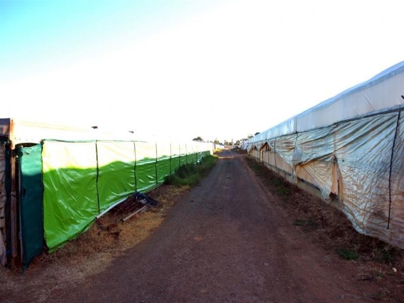 Lot 4 Womma Road, Penfield SA 5121