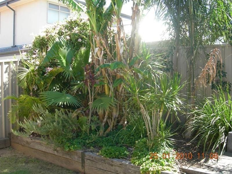 11 Forster Street, Ridleyton SA 5008