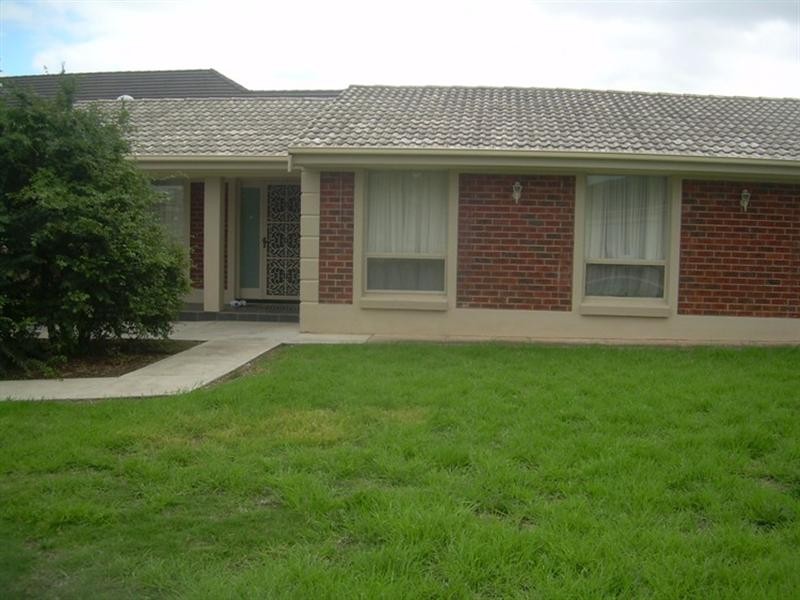 16 Heggaton Terrace, Newton SA 5074