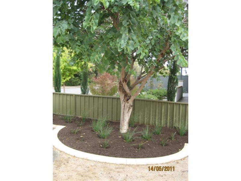 43 Garfield Avenue, Kurralta Park SA 5037