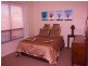 10 Jeanie Street, Camden Park SA 5038