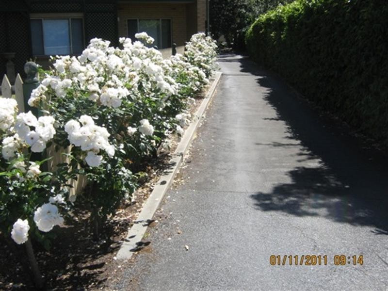 12/147 Stephens Terrace, Walkerville SA 5081