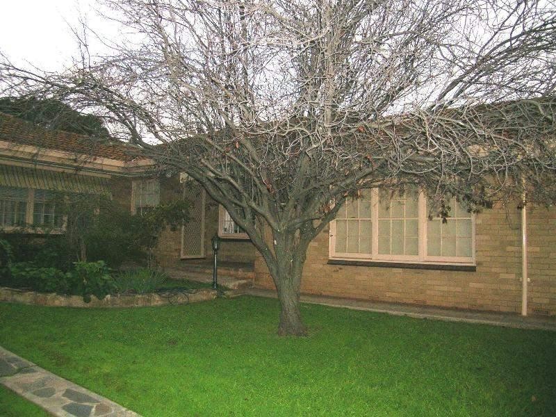 7/486 Portrush Road, Linden Park SA 5065