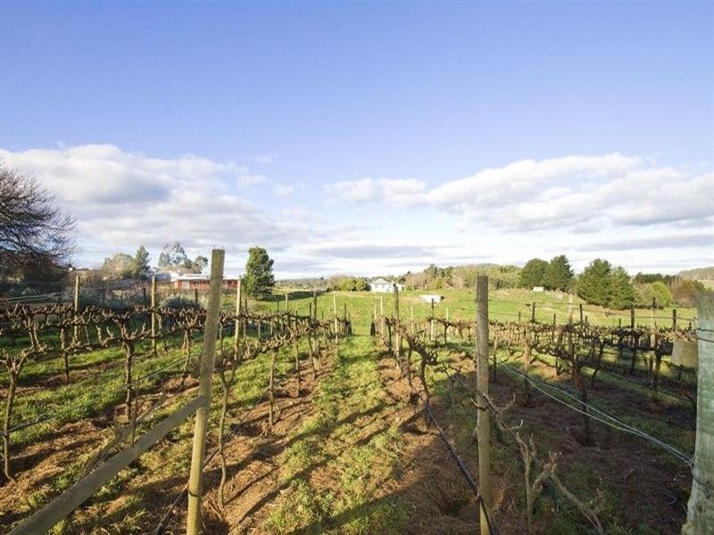 103 Greenhill Road, Summertown SA 5141