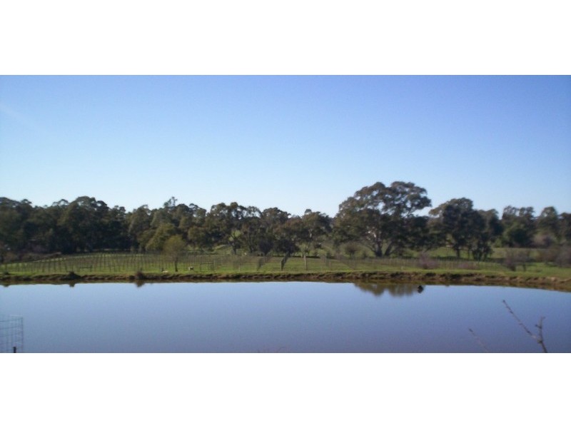 287 Mannes Lane, Emu Creek VIC 3551