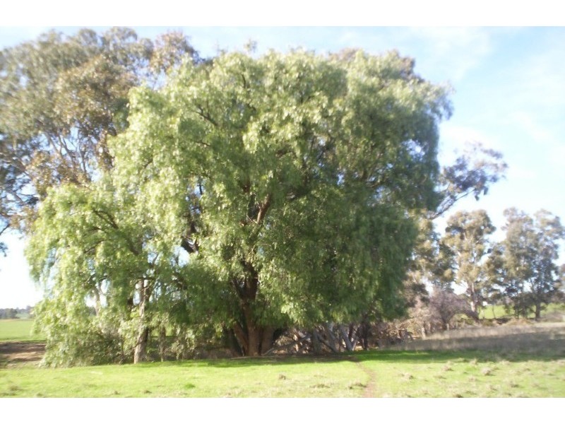287 Mannes Lane, Emu Creek VIC 3551