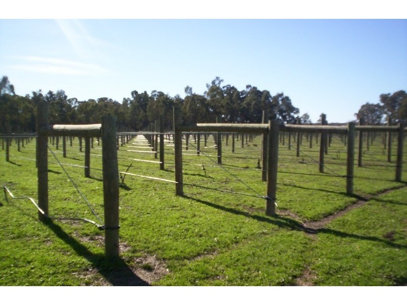 287 Mannes Lane, Emu Creek VIC 3551