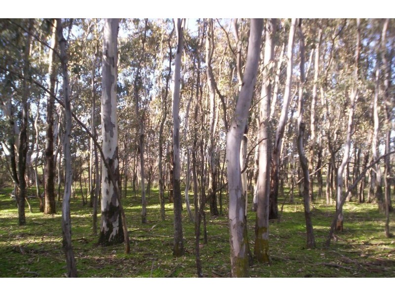 287 Mannes Lane, Emu Creek VIC 3551