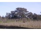 287 Mannes Lane, Emu Creek VIC 3551
