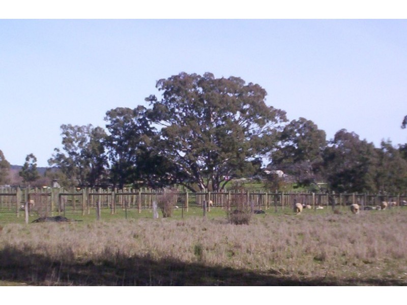 287 Mannes Lane, Emu Creek VIC 3551