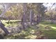 287 Mannes Lane, Emu Creek VIC 3551