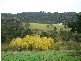 Yarra Glen VIC 3775
