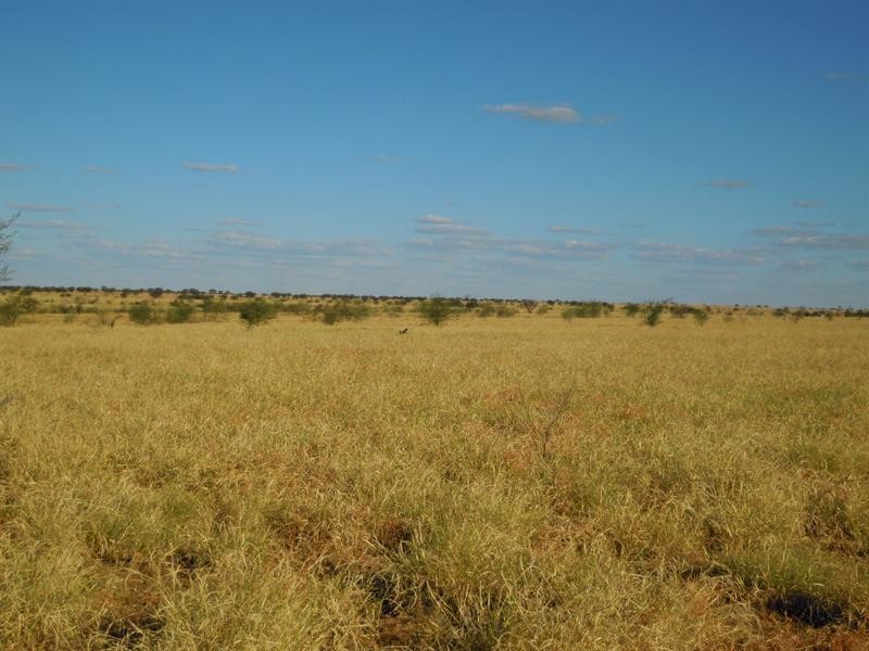 . Boree South, Richmond QLD 4822