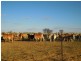 . Boree South, Richmond QLD 4822