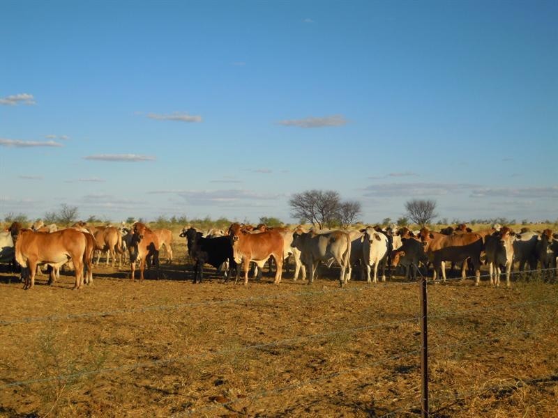 . Boree South, Richmond QLD 4822