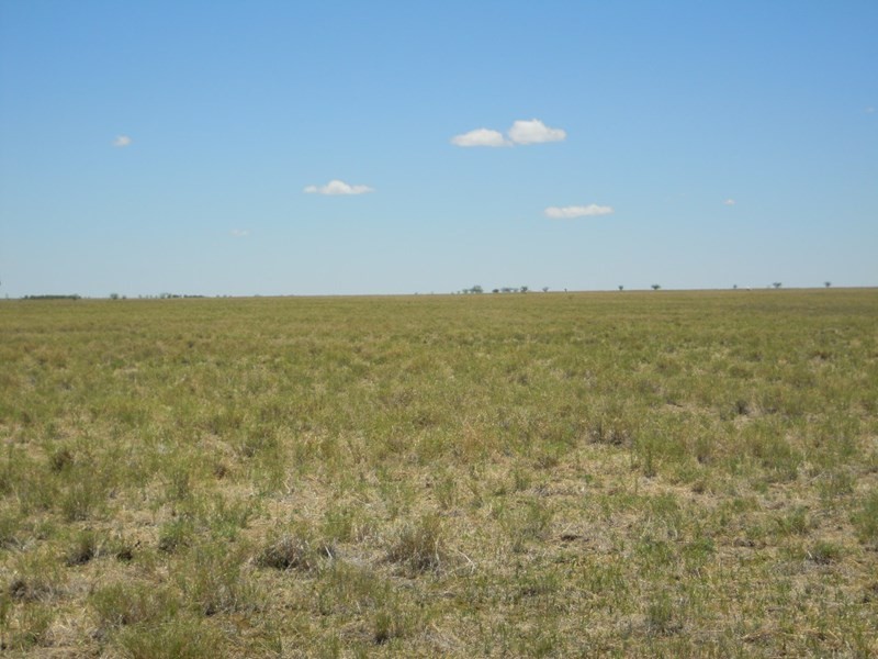 Winton Road, Richmond QLD 4822