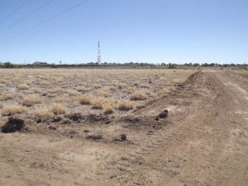 Lot 15 Muttaburra Road, Hughenden QLD 4821