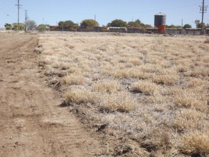 Lot 15 Muttaburra Road, Hughenden QLD 4821