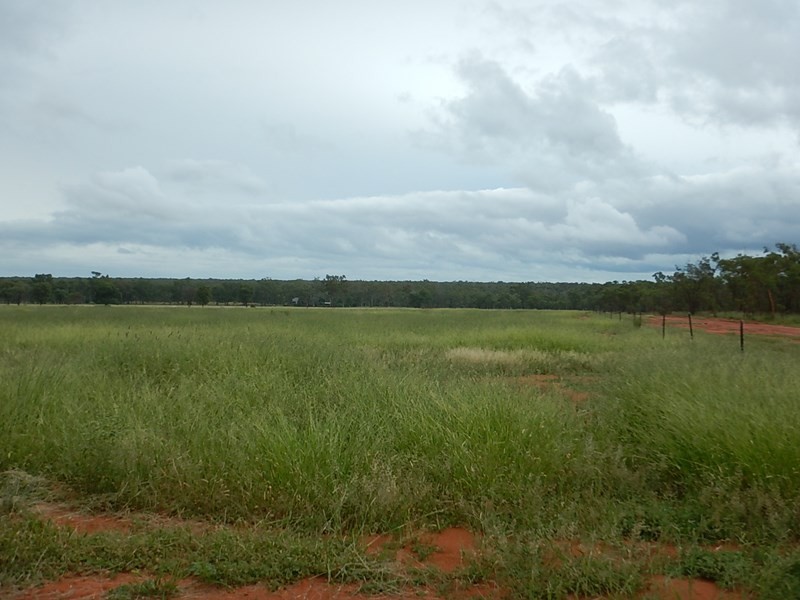 Hazelrigg, Torrens Creek QLD 4816