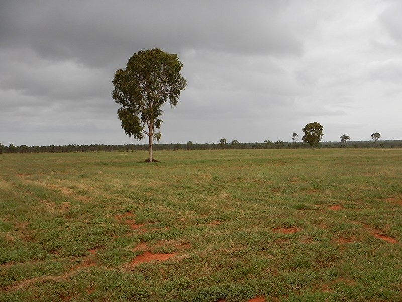 Hazelrigg, Torrens Creek QLD 4816