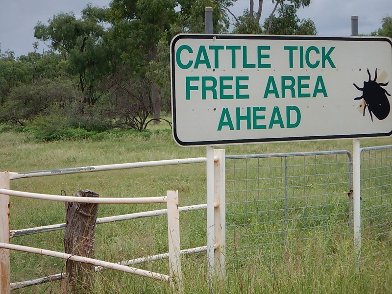 Hazelrigg, Torrens Creek QLD 4816