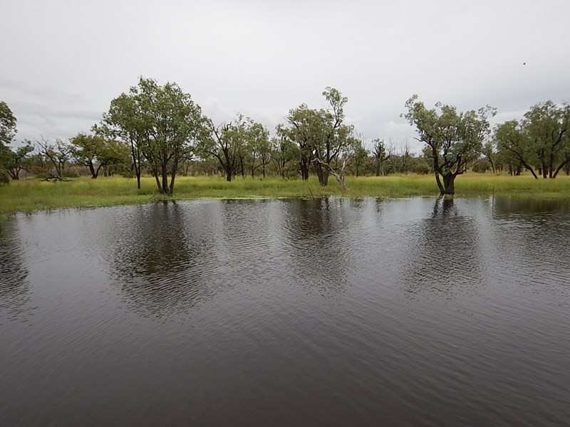 Hazelrigg, Torrens Creek QLD 4816