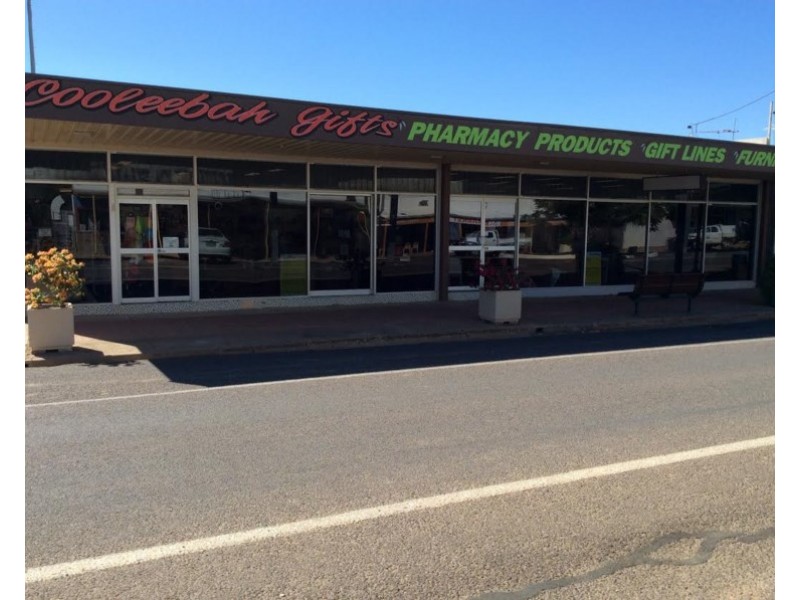 45 Burke Street, Julia Creek QLD 4823