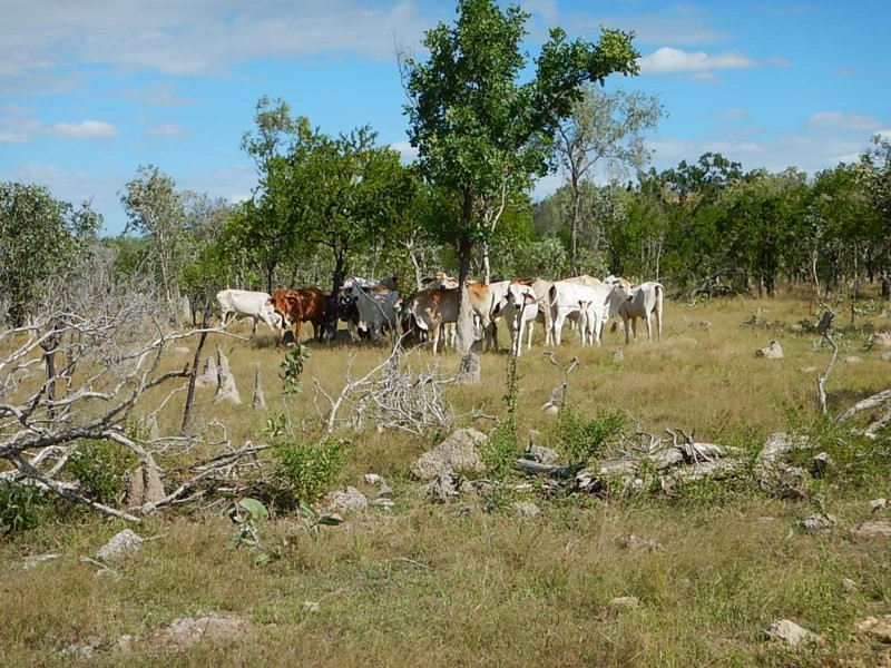 0 Golden Valley, Croydon QLD 4871