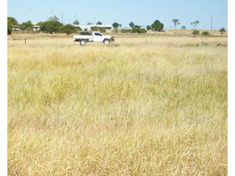 16 Alyss, Hughenden QLD 4821