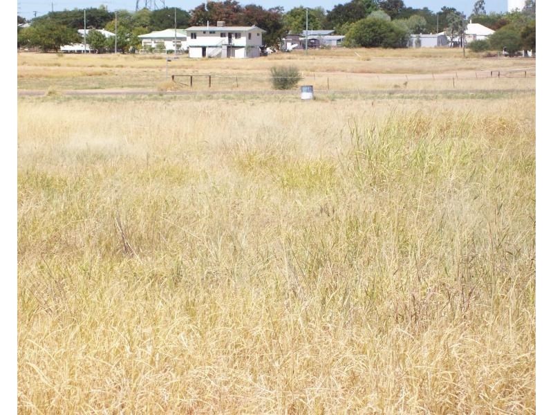 16 Alyss, Hughenden QLD 4821