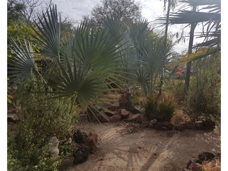 27-29 Beaconsfield Street, Hughenden QLD 4821