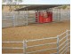 Torryburn East Kynuna Road, Maxwelton QLD 4822