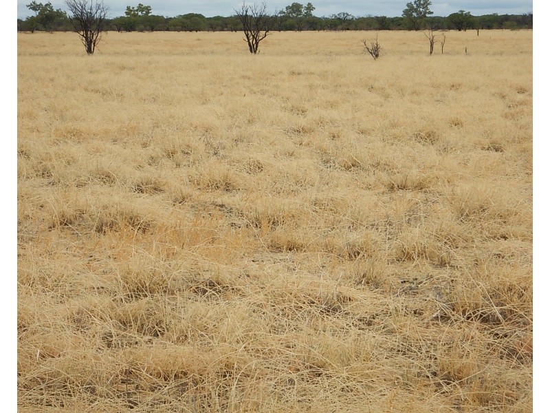 Torryburn East Kynuna Road, Maxwelton QLD 4822