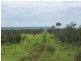 Hughenden QLD 4821