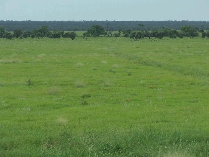 Hughenden QLD 4821