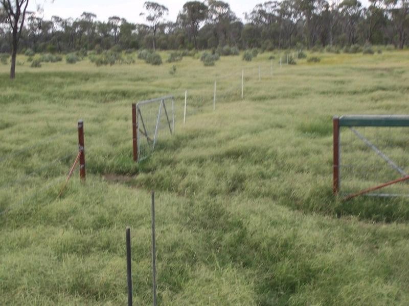 Prairie QLD 4816