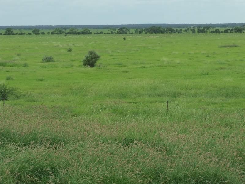 1 Bogglywalla, Hughenden QLD 4821