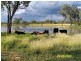 0 Talaroo Station, Mount Surprise QLD 4871