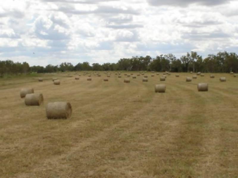 0 Talaroo Station, Mount Surprise QLD 4871