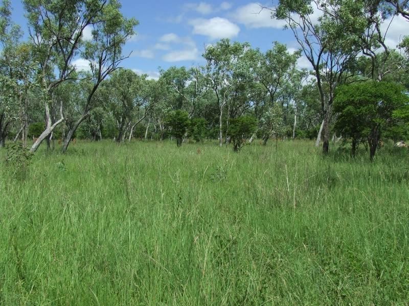 1 Dagworth, Georgetown QLD 4871