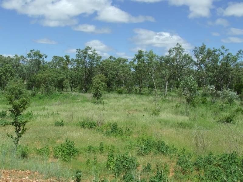 1 Dagworth, Georgetown QLD 4871